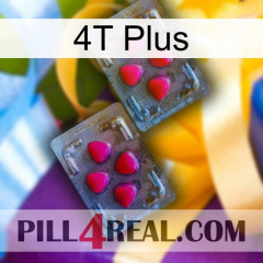 4T Plus 14